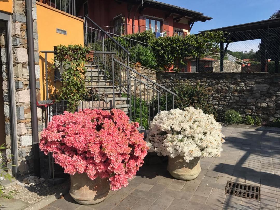 Villa Vill'Ariel Sport & Relax à Brovello-Carpugnino Extérieur photo